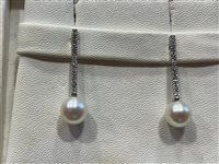 Orecchini Recarlo Donna in Oro bianco Diamante ZR248/B - ZR248/B